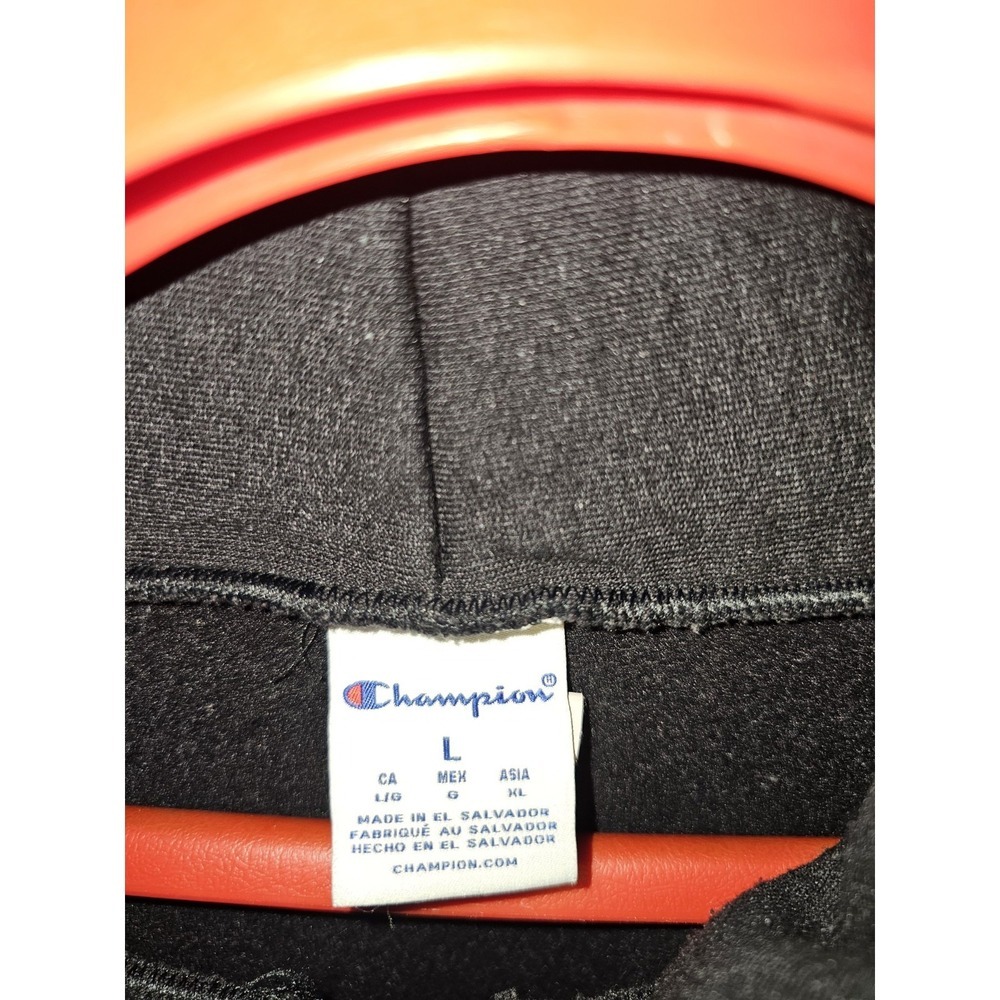 Champion Princeton University hoodie Size Large - Picture 4 of 9